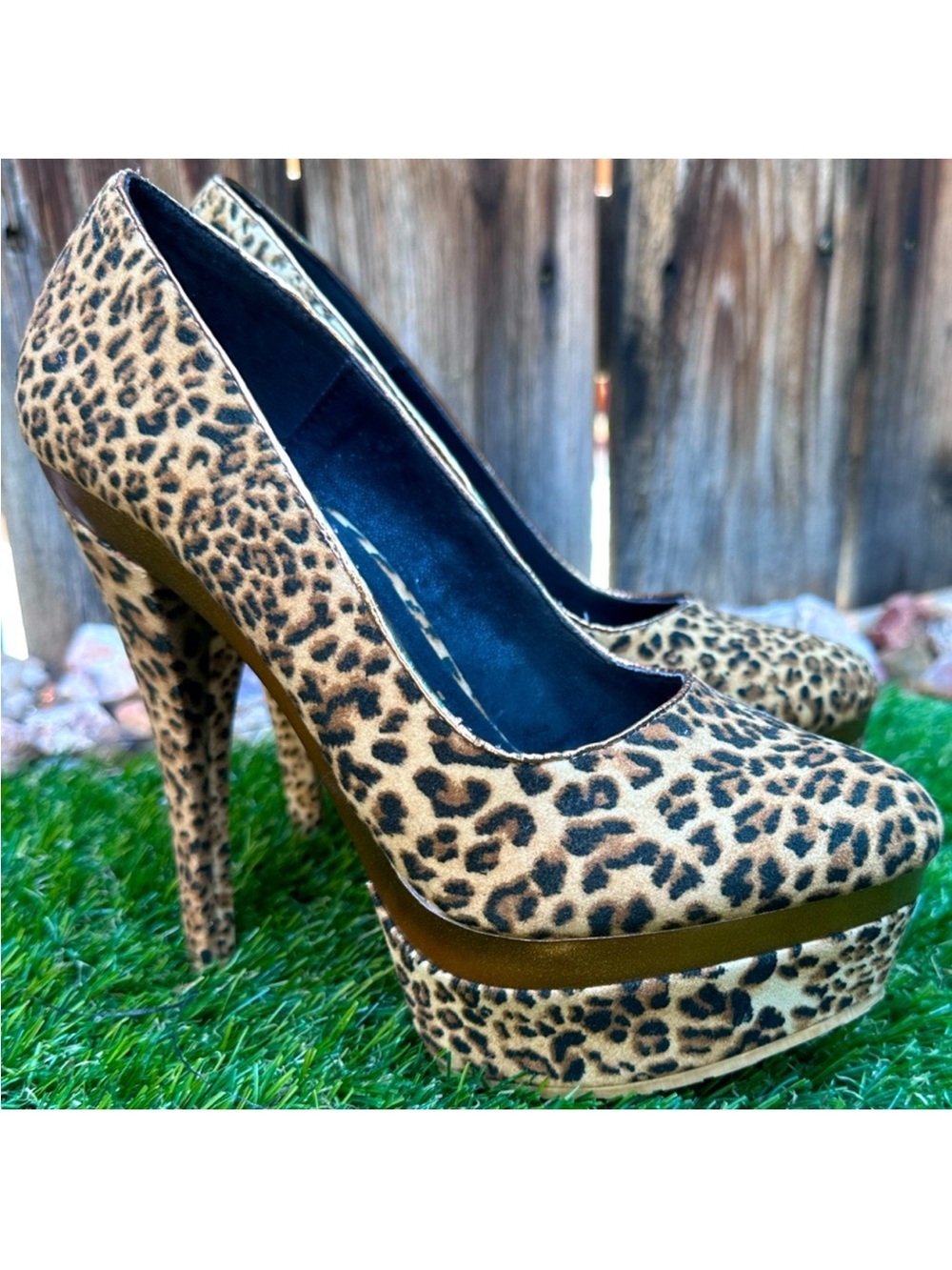 Promise Leopard-Print Platform Pumps in Tan and Black - Picture 2 of 6